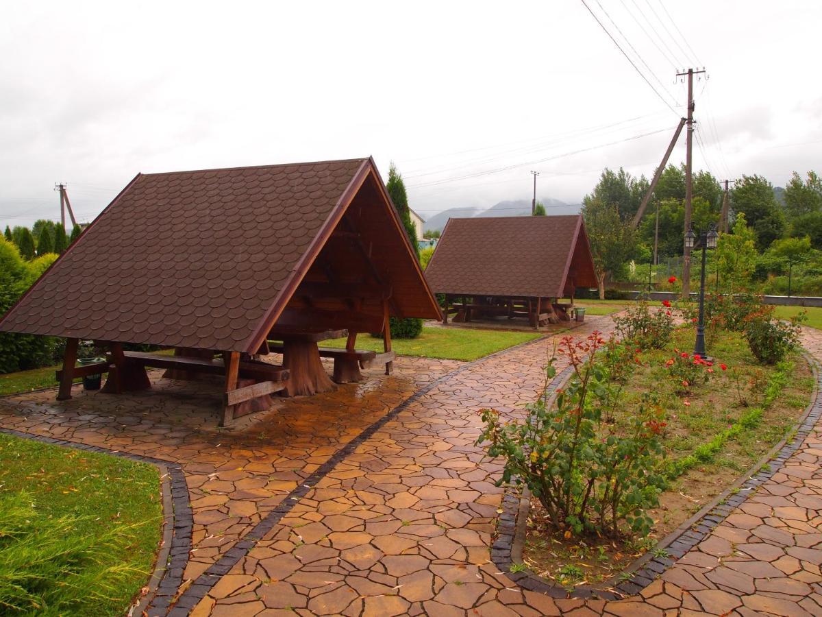тюльпан Вишково