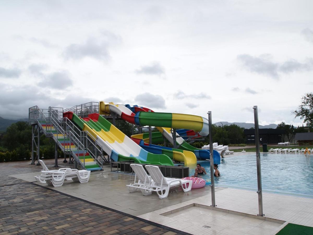 Отель Tulipan Aquapark Вышково